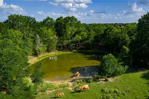 Tbd Fm 2104, Smithville, TX 78957 - Photo 1