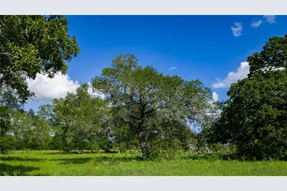 Tbd Fm 2104, Smithville, TX 78957 - Photo 16