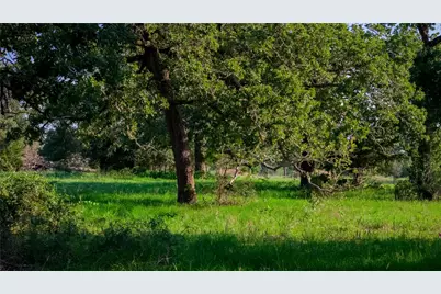 Tbd Fm 2104, Smithville, TX 78957 - Photo 18