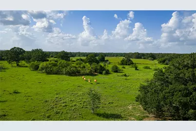 Tbd Fm 2104, Smithville, TX 78957 - Photo 22
