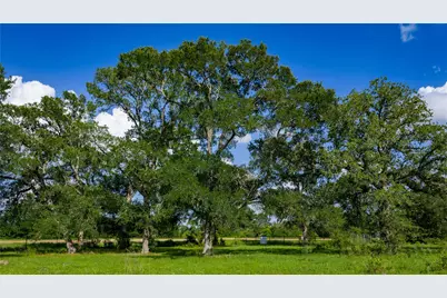 Tbd Fm 2104, Smithville, TX 78957 - Photo 10
