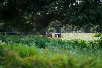 Tbd Fm 2104, Smithville, TX 78957 - Photo 4