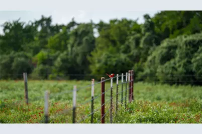 Tbd Fm 2104, Smithville, TX 78957 - Photo 12