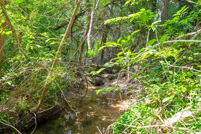 13436 W Highway 71, Austin, TX 78738 - Photo 10