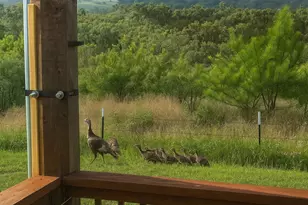 12516 Wire Rd, Leander, TX 78641 - Photo 30