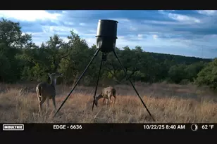 12516 Wire Rd, Leander, TX 78641 - Photo 6