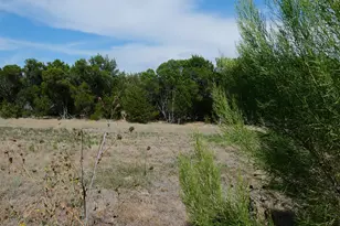 2504 Indian Clover Trl, Leander, TX 78641 - Photo 36