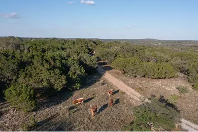 3303 Fearless Treadway, Round Mountain, TX 78663 - Photo 8