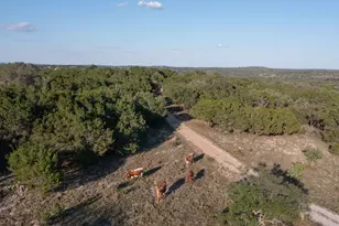 3303 Fearless Treadway, Round Mountain, TX 78663 - Photo 8