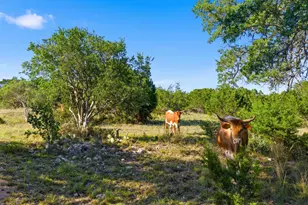 3303 Fearless Treadway, Round Mountain, TX 78663 - Photo 22