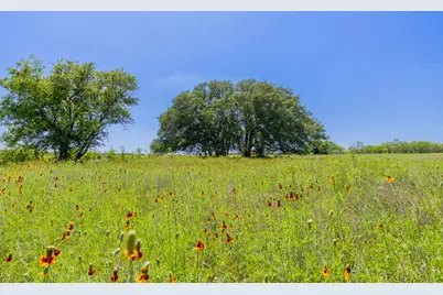 [Address not provided], Purmela, TX 76566 - Photo 6