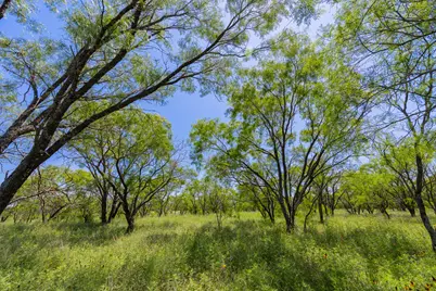 [Address not provided], Purmela, TX 76566 - Photo 38