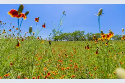 [Address not provided], Purmela, TX 76566 - Photo 32
