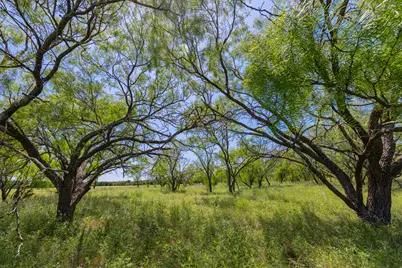 [Address not provided], Purmela, TX 76566 - Photo 1