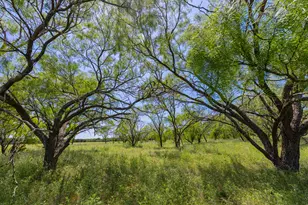 [Address not provided], Purmela, TX 76566 - Photo 1