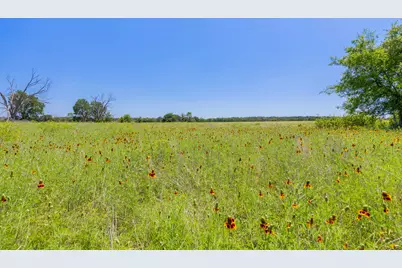 [Address not provided], Purmela, TX 76566 - Photo 18