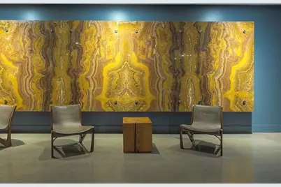 210 Lee Barton Drive #421, Austin, TX 78704 - Photo 22