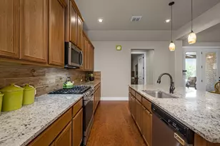 228 Drawing Maple St, San Marcos, TX 78666 - Photo 12