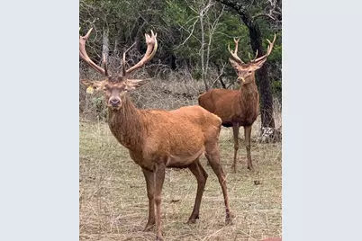 Tbd 281 Highway, Lampasas, TX 76550 - Photo 2