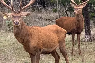 Tbd 281 Hwy, Lampasas, TX 76550 - Photo 2