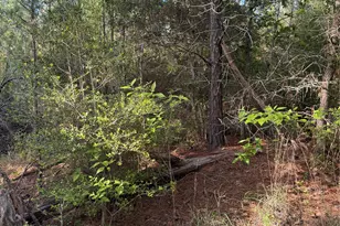 Lot 1384 Pahihi Dr, Bastrop, TX 78602 - Photo 1