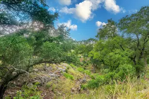 123 Vicinity Trail, Spicewood, TX 78669 - Photo 24
