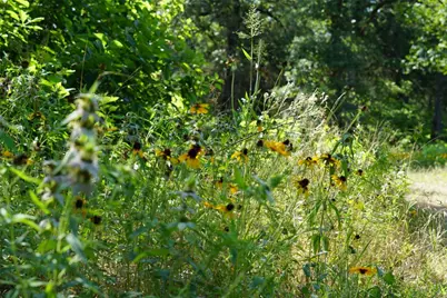 Tbd County Road 322, Rockdale, TX 76567 - Photo 6