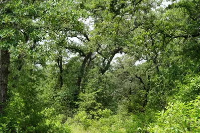 Tbd County Road 322, Rockdale, TX 76567 - Photo 2