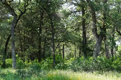 Tbd County Road 322, Rockdale, TX 76567 - Photo 14