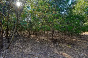 148 Puu Waa Waa Ln, Bastrop, TX 78602 - Photo 38