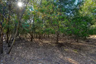 148 Puu Waa Waa Ln, Bastrop, TX 78602 - Photo 38