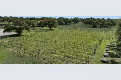 18059 Fm 1826 Road, Driftwood, TX 78619 - Photo 12