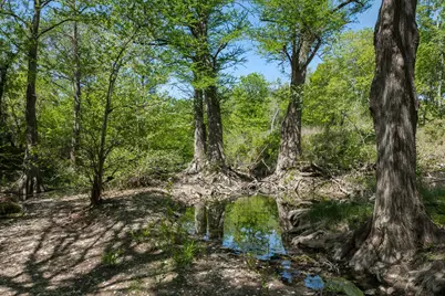 18059 Fm 1826 Road, Driftwood, TX 78619 - Photo 14