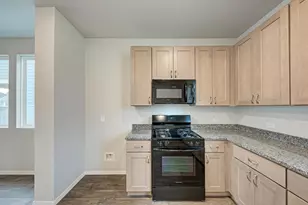 158 Daylily Dr, Elgin, TX 78621 - Photo 16
