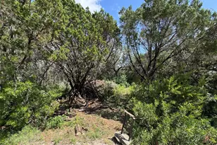 18304 Lake Oaks Dr, Jonestown, TX 78645 - Photo 1