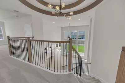 805 Rock Daisy Trail, Hutto, TX 78634 - Photo 26