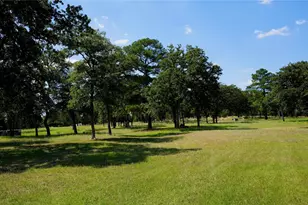 2438 Fm 535 Hwy, Rosanky, TX 78953 - Photo 8