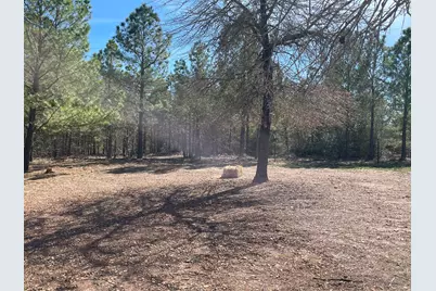 278 Winfield Thicket Road, Bastrop, TX 78602 - Photo 10