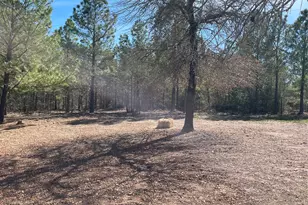 278 Winfield Thicket Rd, Bastrop, TX 78602 - Photo 8