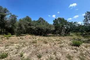 18310 Austin Dr, Jonestown, TX 78645 - Photo 8