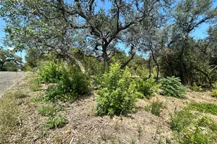 18310 Austin Dr, Jonestown, TX 78645 - Photo 6