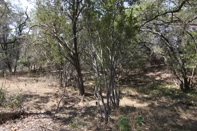 Lot 78 Laurel Wood Court, Spicewood, TX 78669 - Photo 22