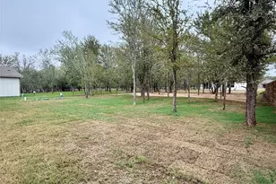 334 Nene Ln, Bastrop, TX 78602 - Photo 30