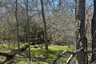 289 Iva Ln, Bastrop, TX 78602 - Photo 1