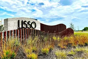 1717 Lorant Ln, Pflugerville, TX 78660 - Photo 18