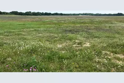 1672 Sayers Tract 3 Road, Bastrop, TX 78602 - Photo 6