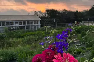 250 Kothmann Rd, Dripping Springs, TX 78620 - Photo 38