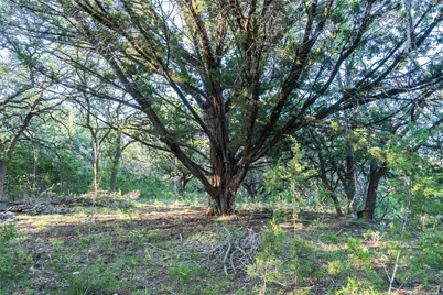 Tbd Crabapple Road, Blanco, TX 78606 - Photo 10