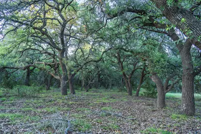 Tbd Crabapple Road, Blanco, TX 78606 - Photo 14