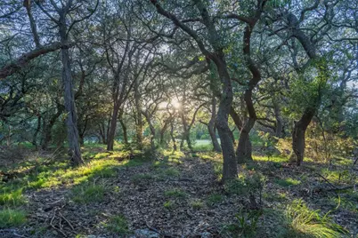 Tbd Crabapple Road, Blanco, TX 78606 - Photo 4